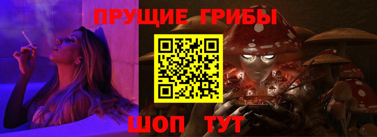 Галлюциногенные грибы Psilocybe Лосино-Петровский